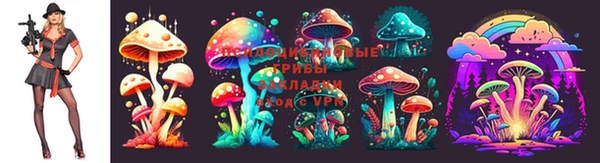 амф Зерноград