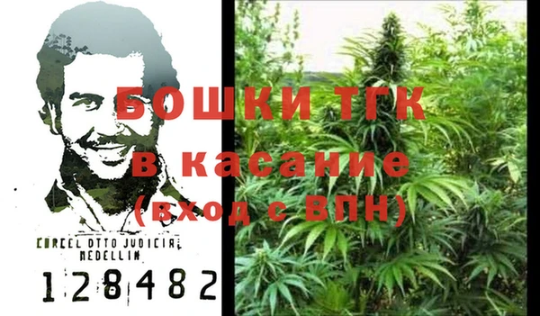 амф Зерноград